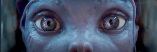 Selim AKA Vaftizci 🦣 banner