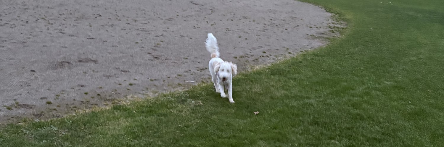 TheNotoriousWall banner