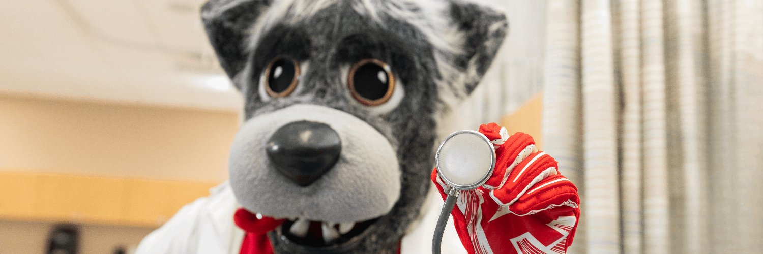 UNM College of Nursing banner