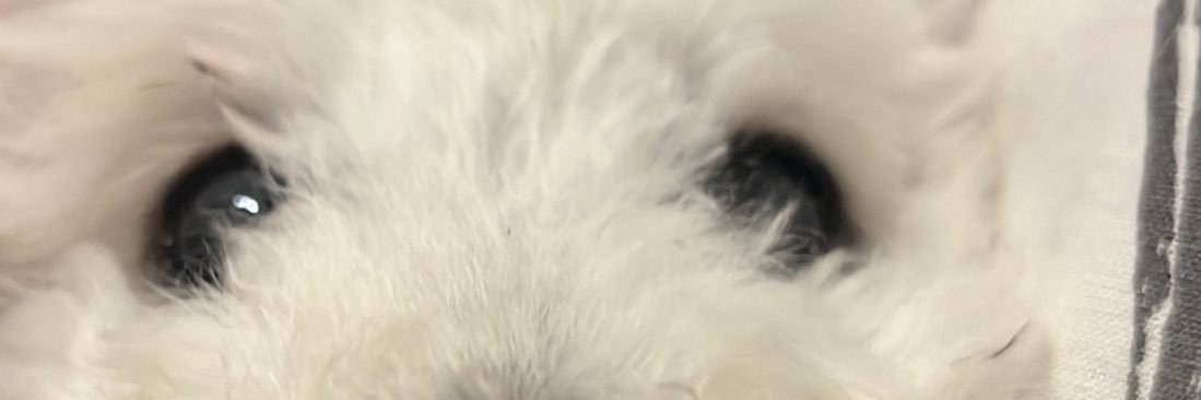 𝓪𝓶𝓫𝓲𝓬𝓲ó𝓷&𝓪𝓭𝓻𝓮𝓷𝓪𝓵𝓲𝓷𝓪📿 banner
