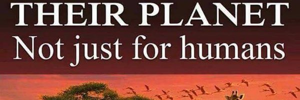 MariaMCasey Profile Banner