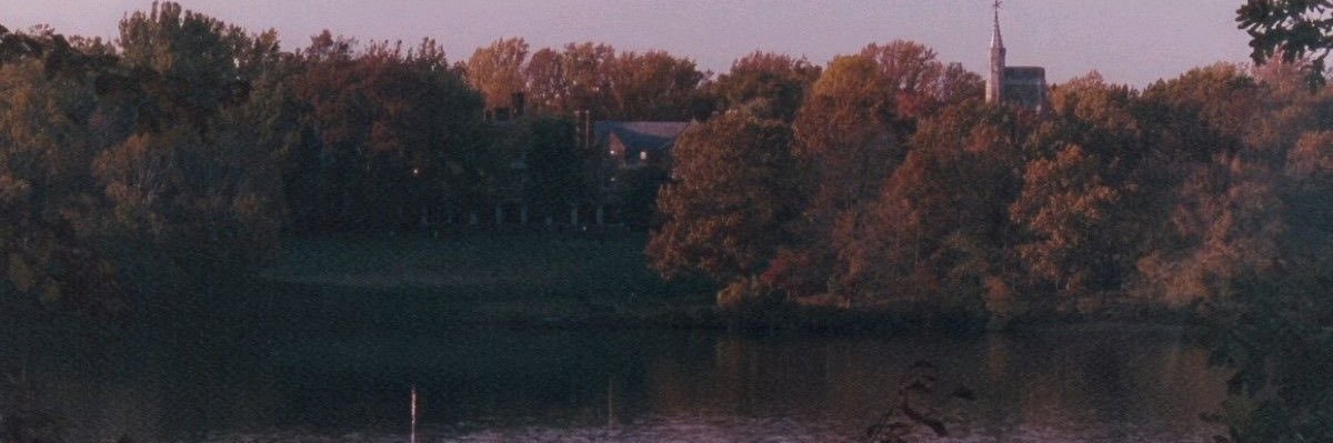 mc4r0l's profile banner image