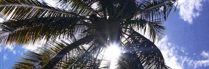 IvanDiMaria21's profile banner image