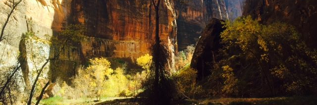 Ginger Tolman banner