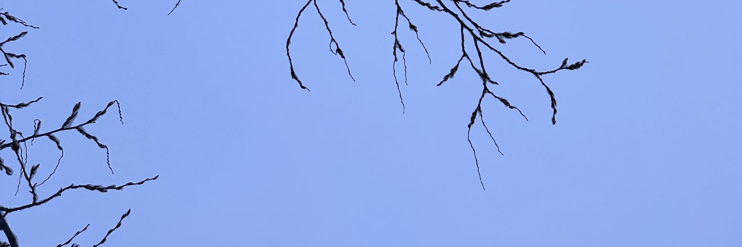 aioval | frogtuber banner