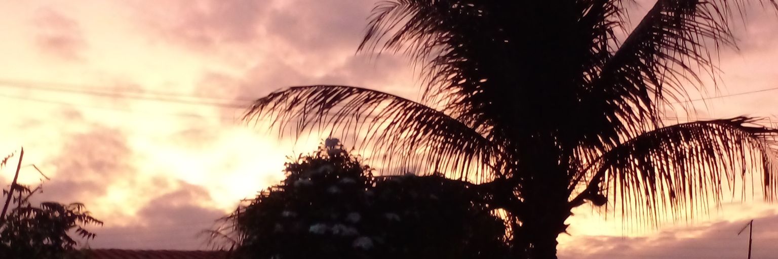 Bobfox_'s profile banner image