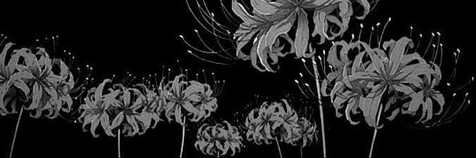 wbIsy's profile banner image