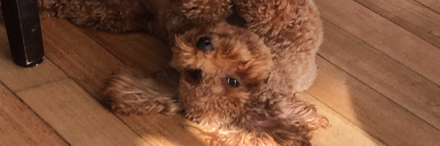 GeeAudi's profile banner image