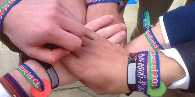 ShapwickHouse banner