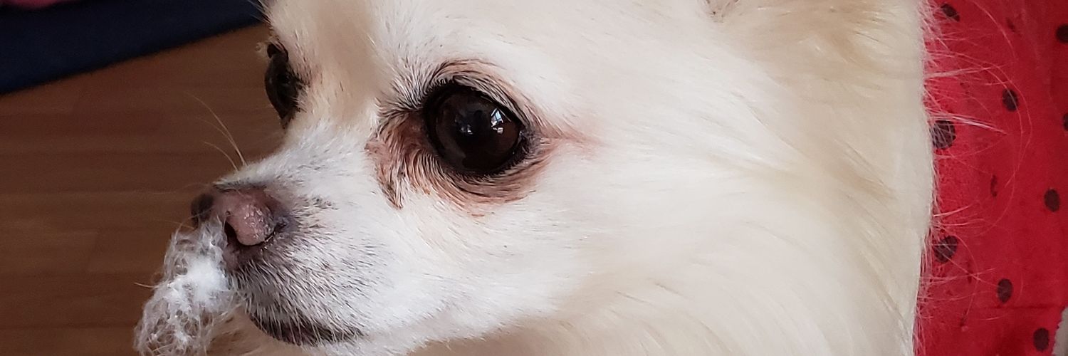 ya_tasu's profile banner image