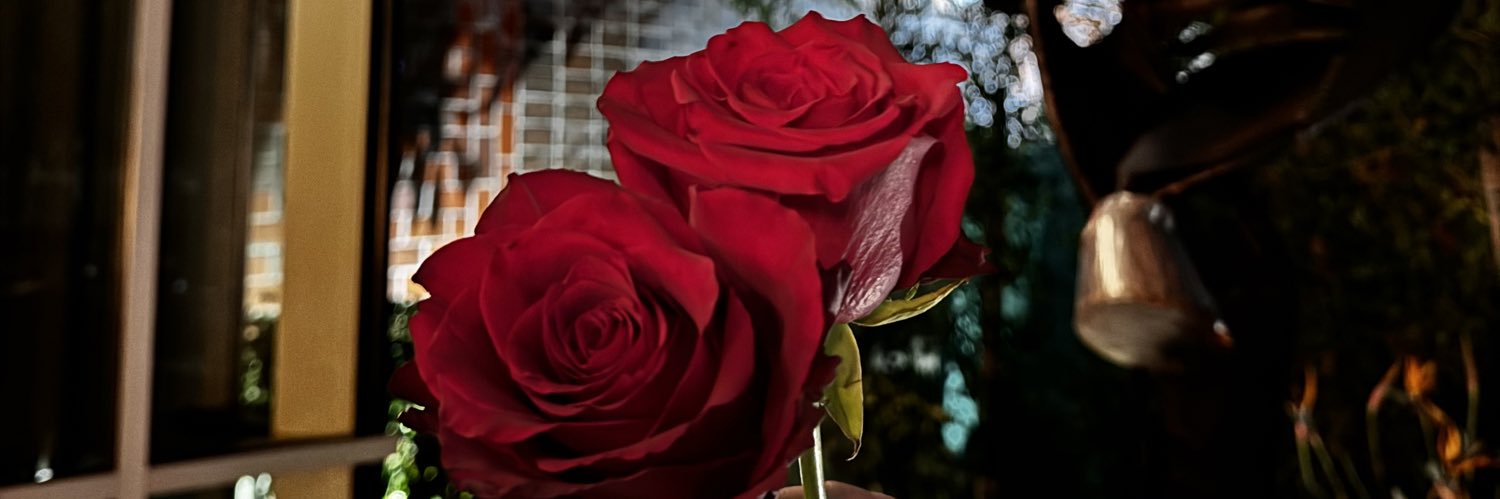 allianathellama's profile banner image