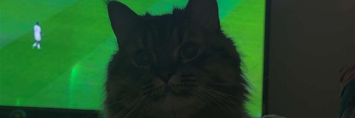 bMtttttr's profile banner image