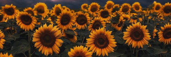 thess_efi Profile Banner