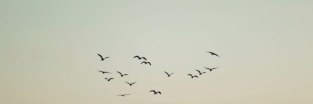naribeyza99's profile banner image