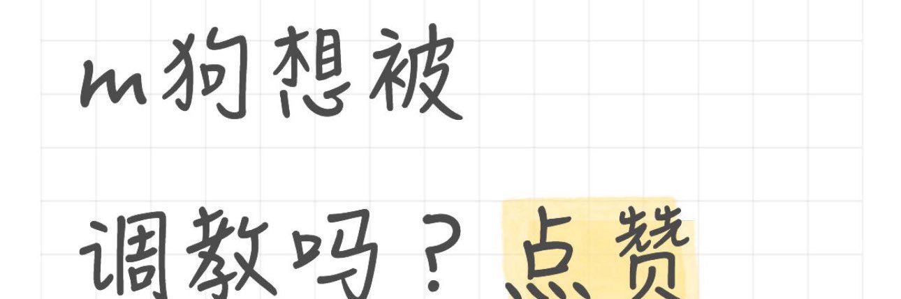小阿姨 banner