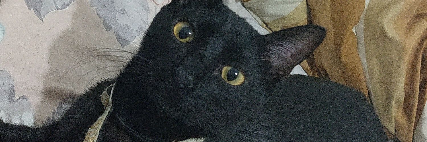 zip_math's profile banner image