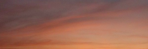 yeshvndr Profile Banner