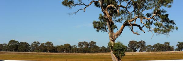 DanTehanWannon Profile Banner