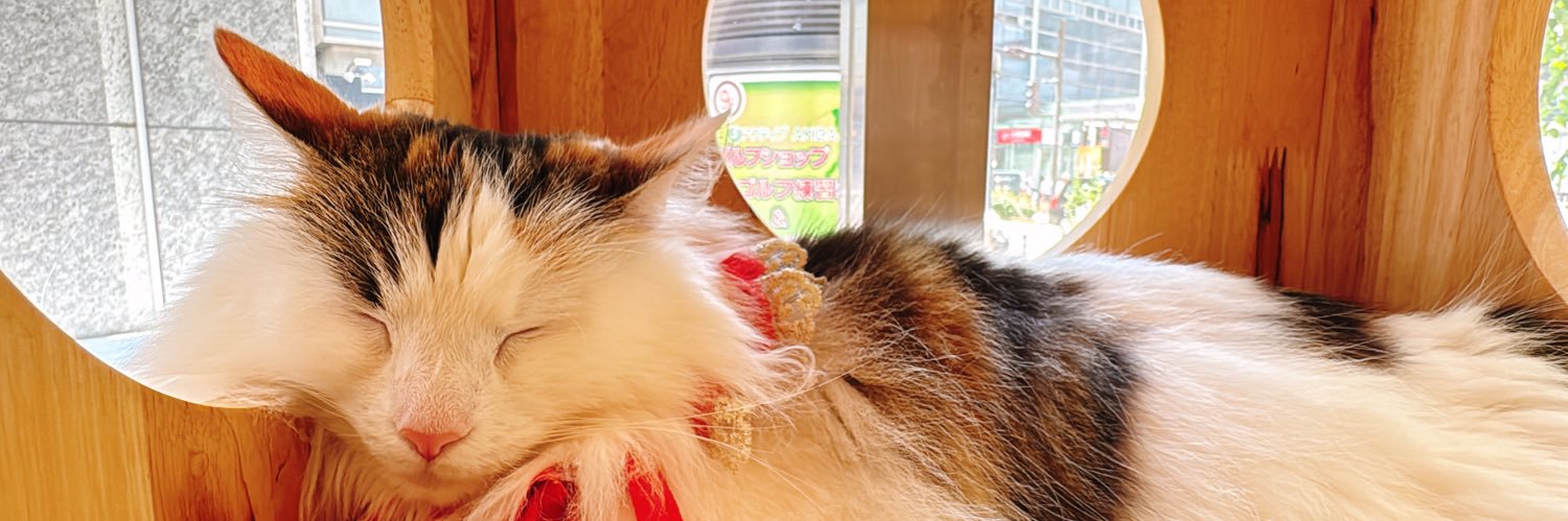 𝚑𝚒𝚜𝚞𝚒＊𝚜 🜸 banner