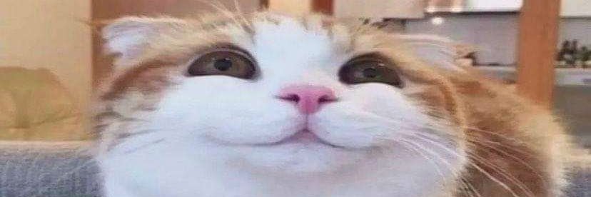 oomfieposting banner