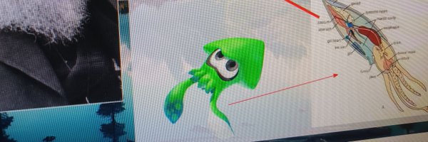 PinaExplain Profile Banner