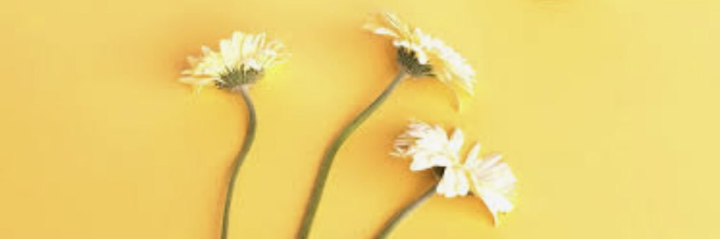 soogoo__100_'s profile banner image