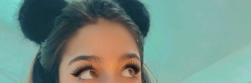 Carolzinhaprive banner