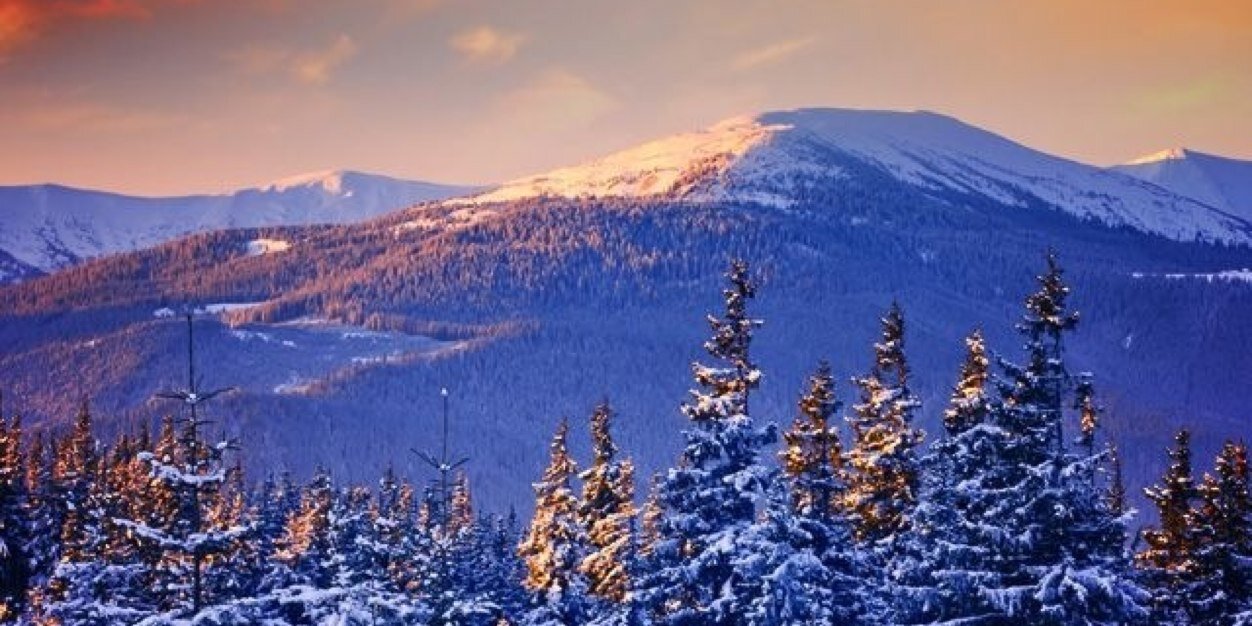 applejoel1's profile banner image