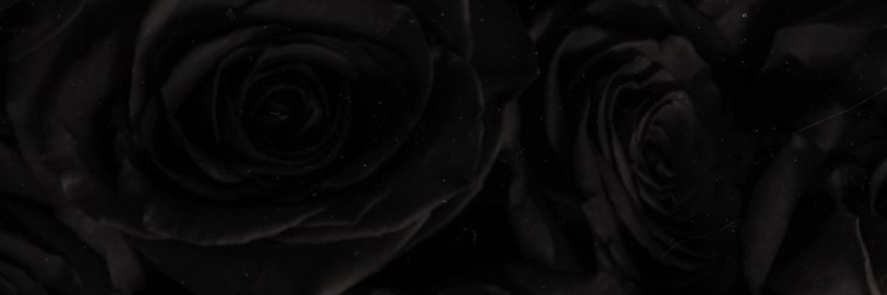 CalamitousNyx's profile banner image