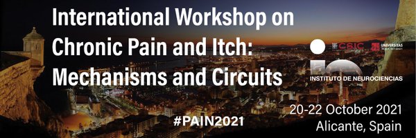 APain2021 Profile Banner