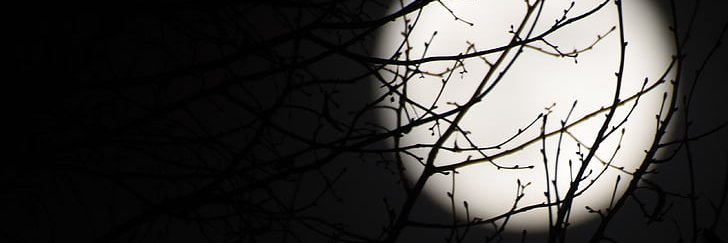Cynthy banner
