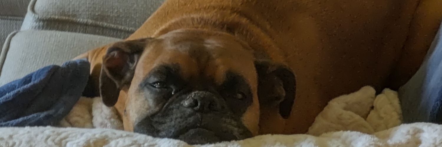 GBAMike's profile banner image