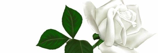JillOMach's profile banner image