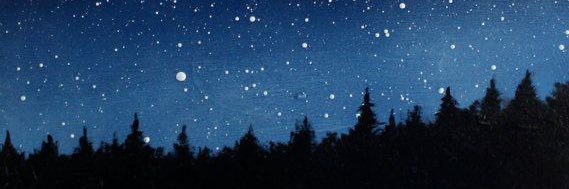 Zerowsen's profile banner image