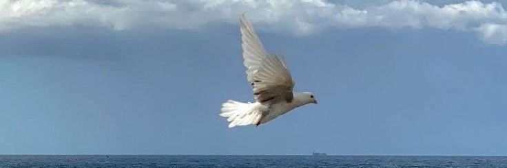 _mrrmr_ banner