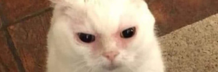 sedatedtwink's profile banner image