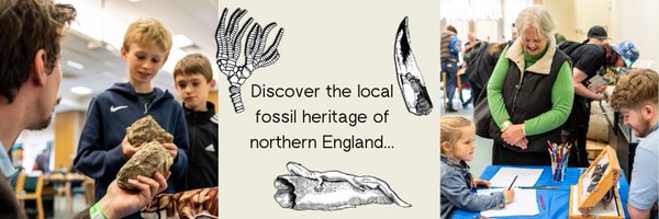 FossilsH Profile Banner