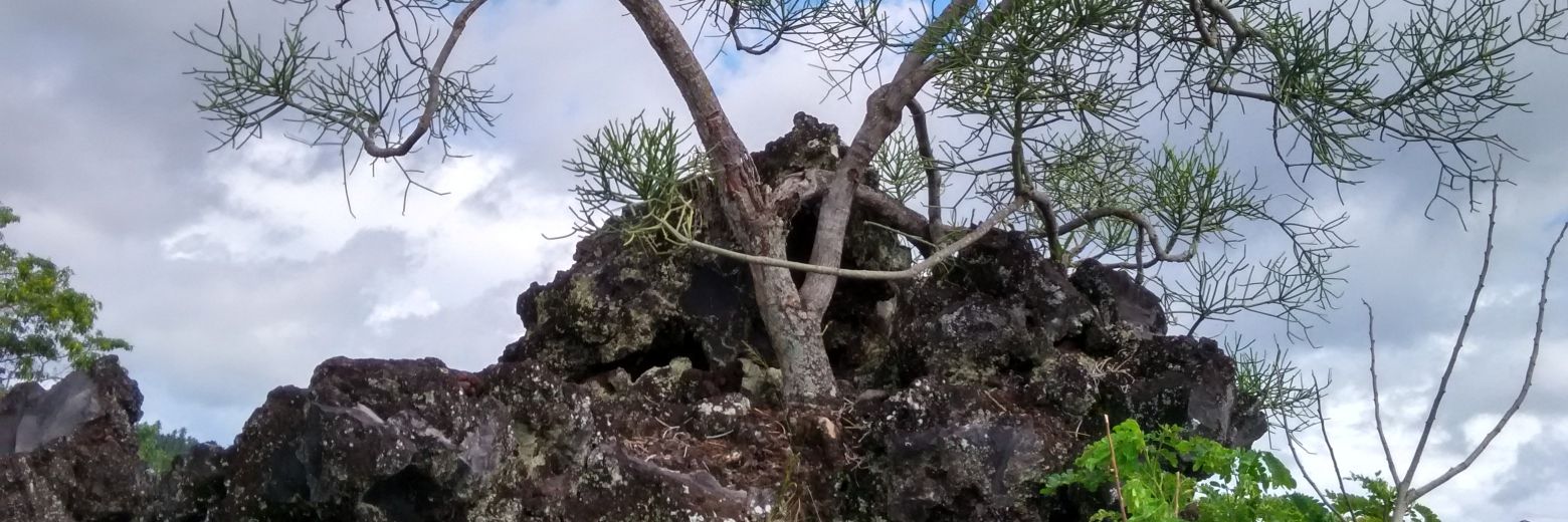 dkaniacold's profile banner image