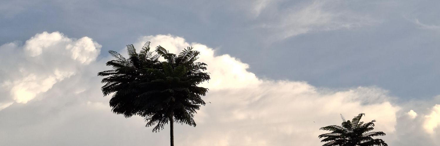 anziwani's profile banner image