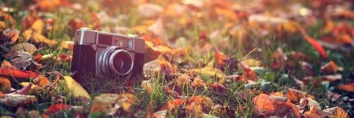 Sergey Don 🛸❤️ Memecoin banner