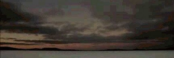 HaleyKittyLick Profile Banner