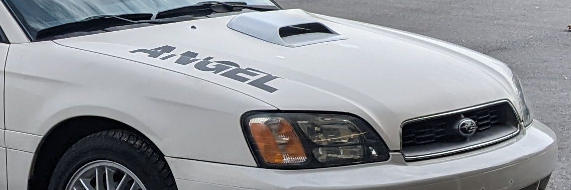 JohntheCat banner