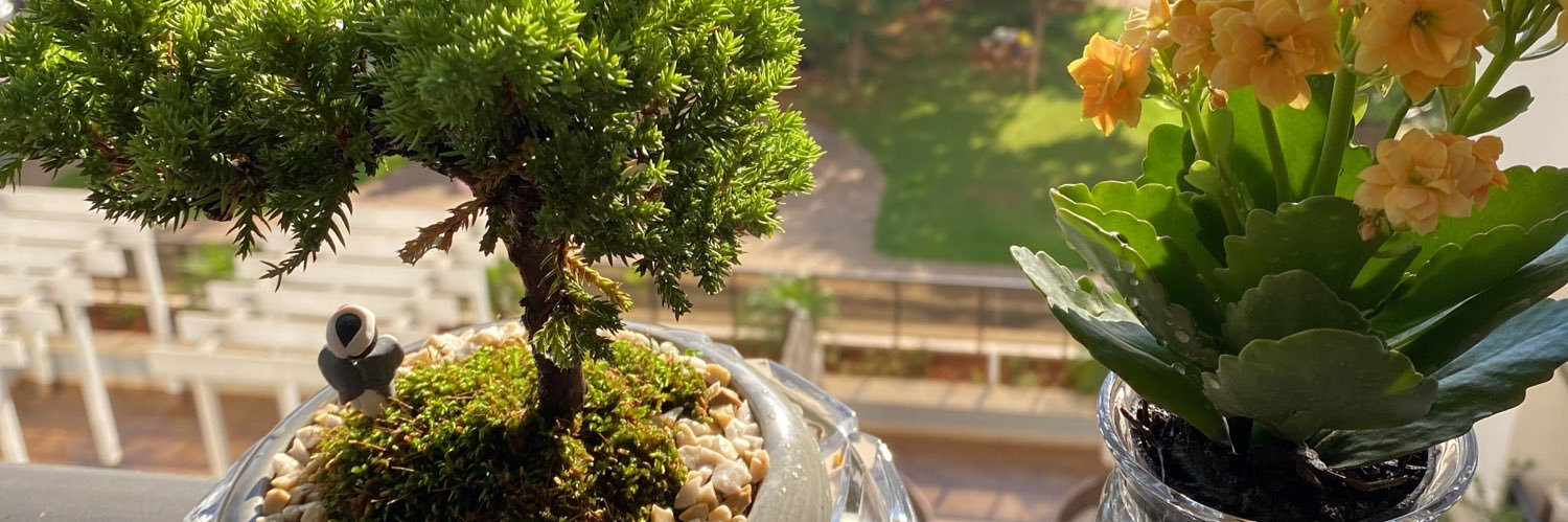 werberthssilva's profile banner image