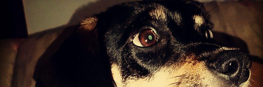 AlexaBackes's profile banner image
