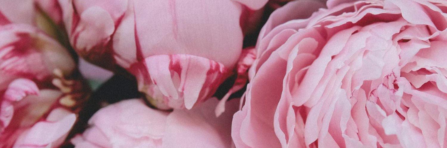 agarzizia's profile banner image