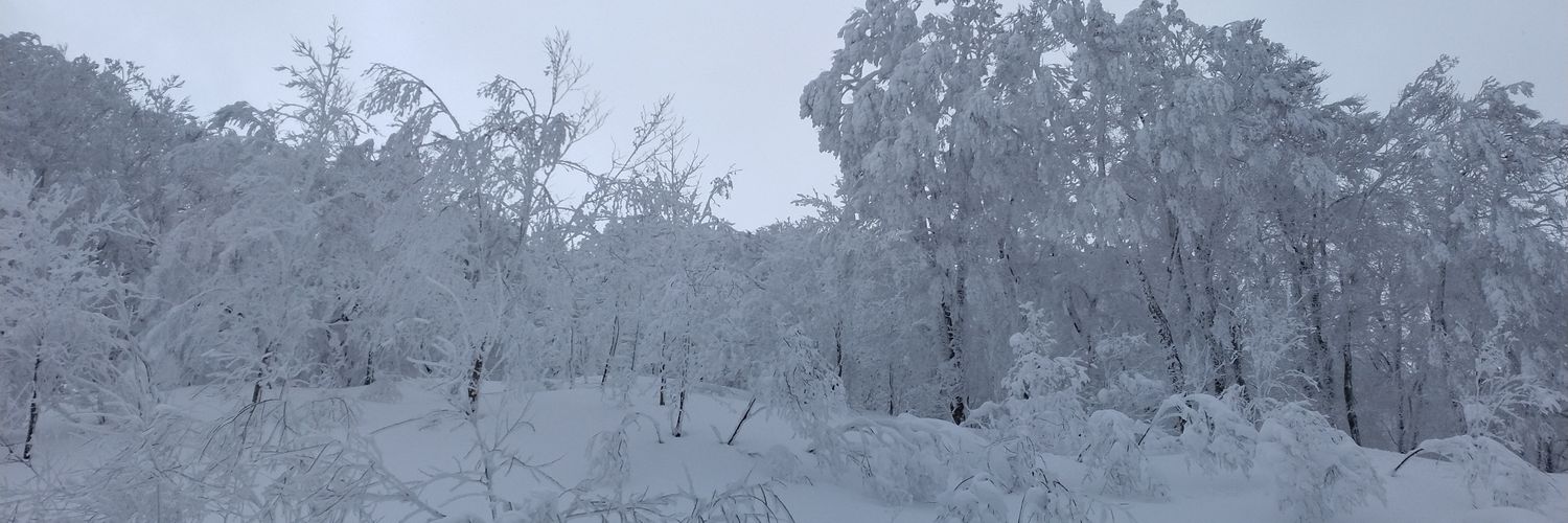 ayajinn's profile banner image