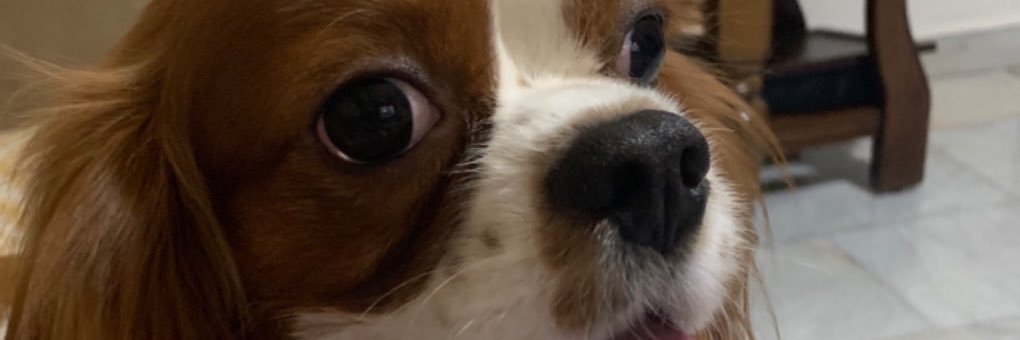 lannoun's profile banner image