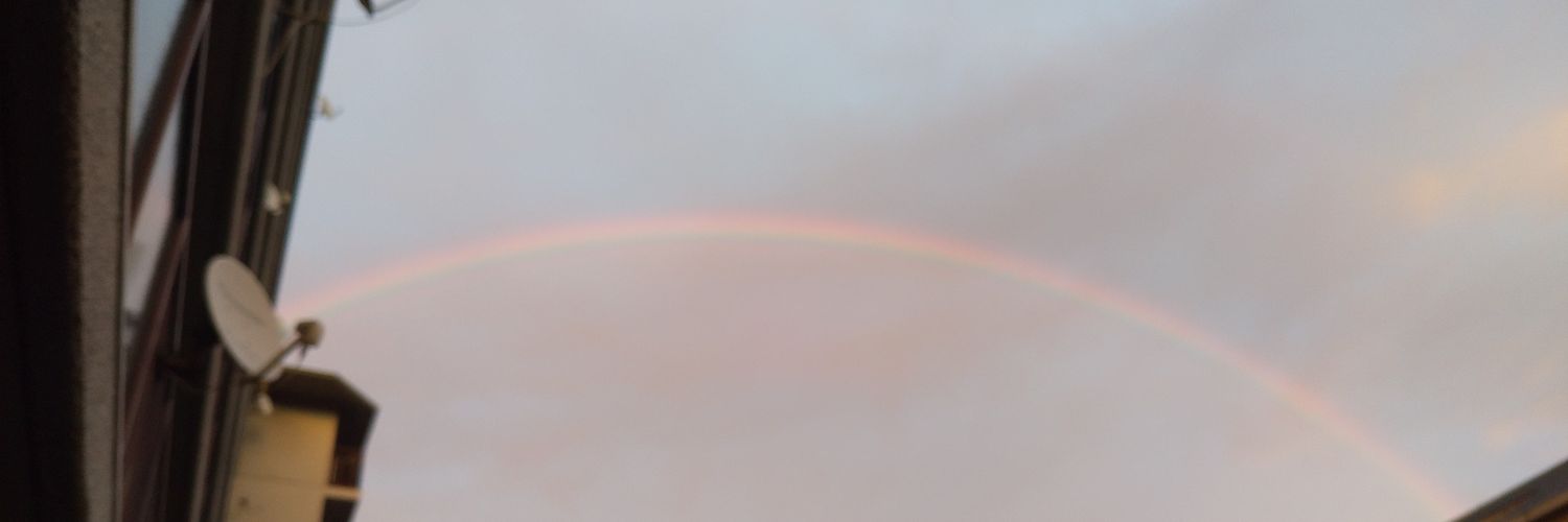 aibokko's profile banner image