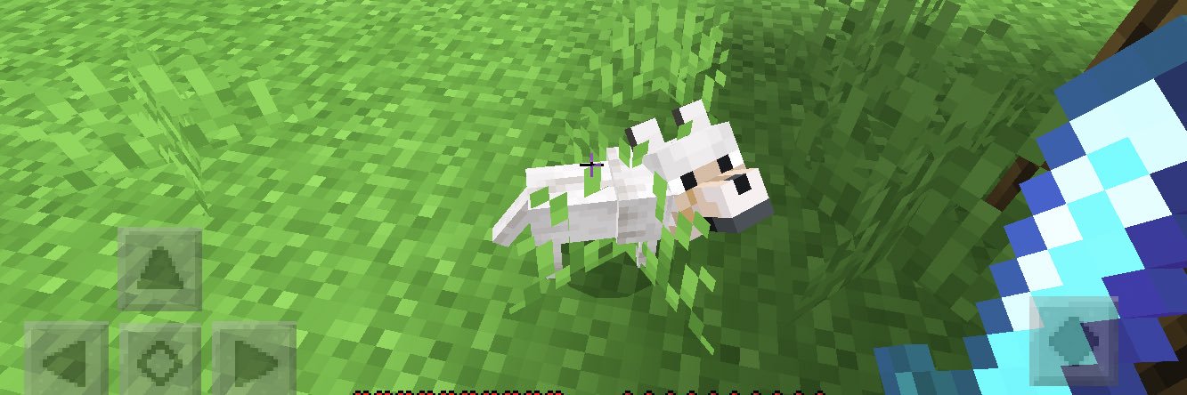 Ullma5's profile banner image