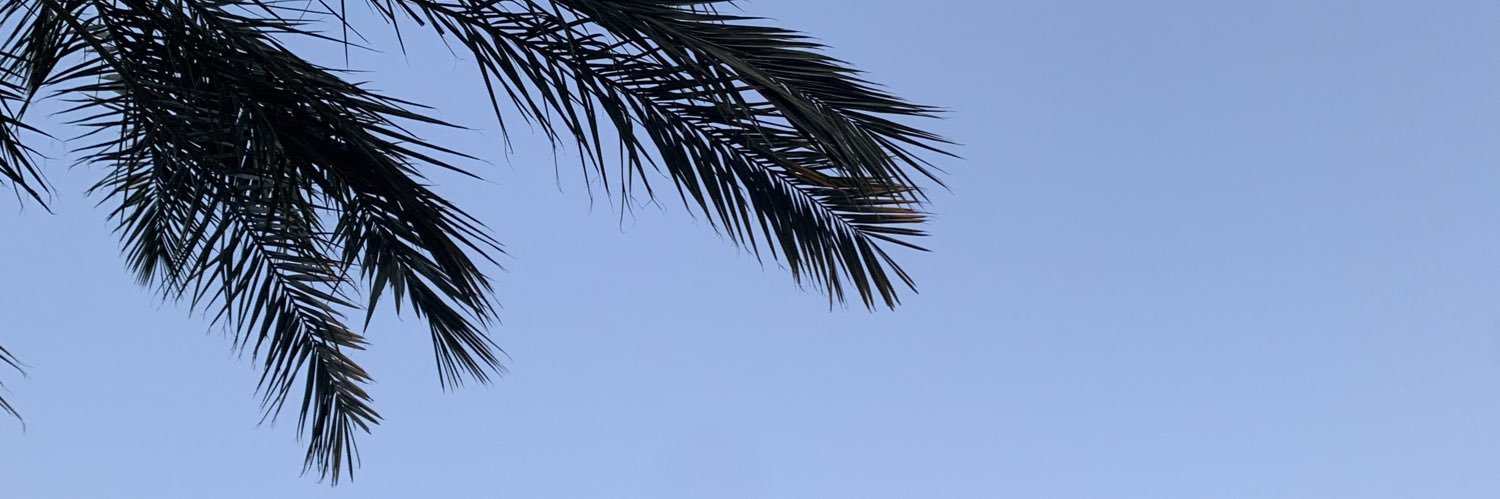 lolpriy's profile banner image